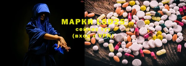 индика Касимов