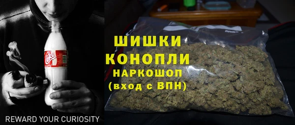 индика Касимов