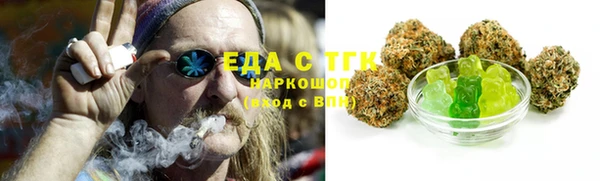 индика Касимов