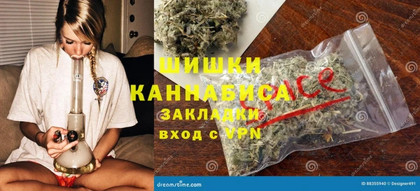 индика Касимов
