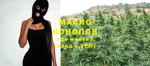 индика Касимов