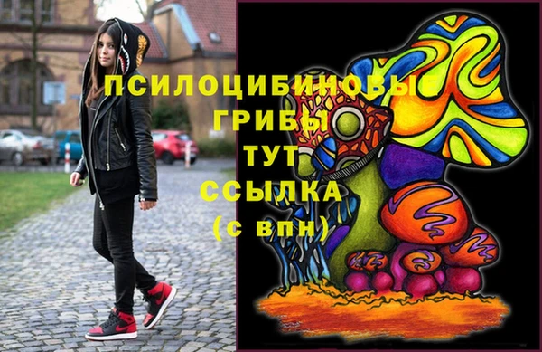 mix Карпинск