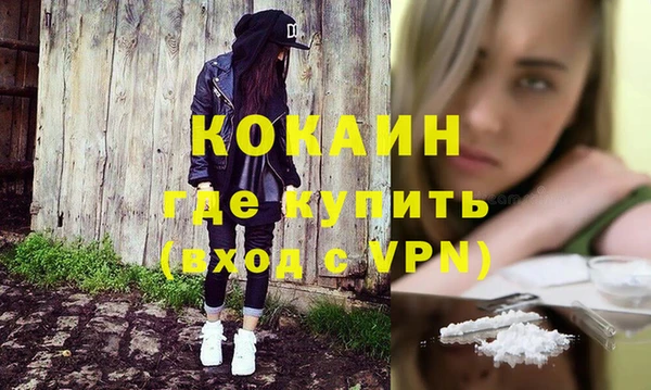 индика Касимов