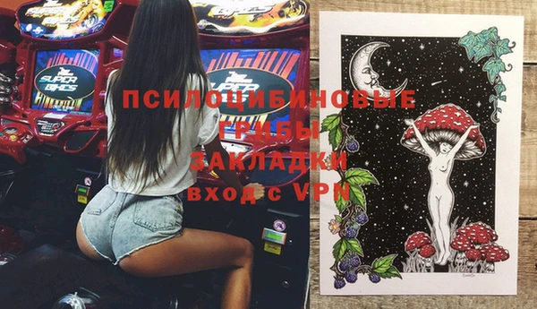 индика Касимов