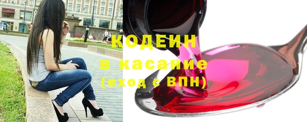 индика Касимов