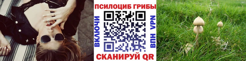 Псилоцибиновые грибы Psilocybe  Купить где  Полтавская 